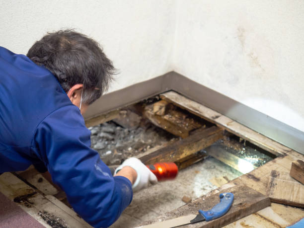 Best Mold Testing  in Leander, TX