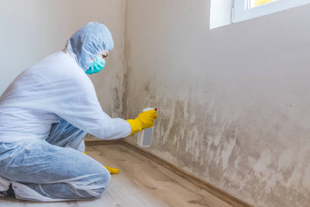 Best Crawl Space Mold Removal  in Leander, TX