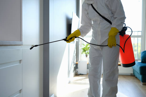 Best Best Mold Removal Companies  in Leander, TX