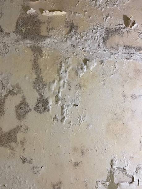 Water Damage Restoration in Leander, TX
