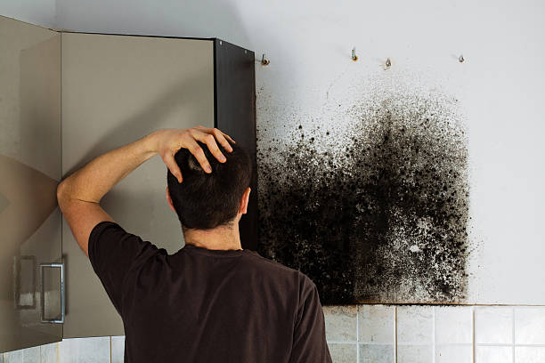 Best Crawl Space Mold Removal  in Leander, TX